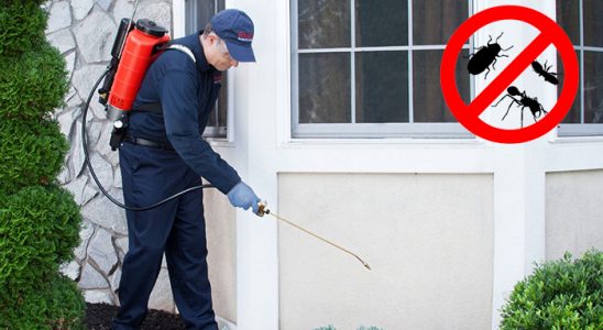 Başyayla Dezenfeksiyon böcek ilaçlama ve haşere kontrolü — ilaclama-tr.com
